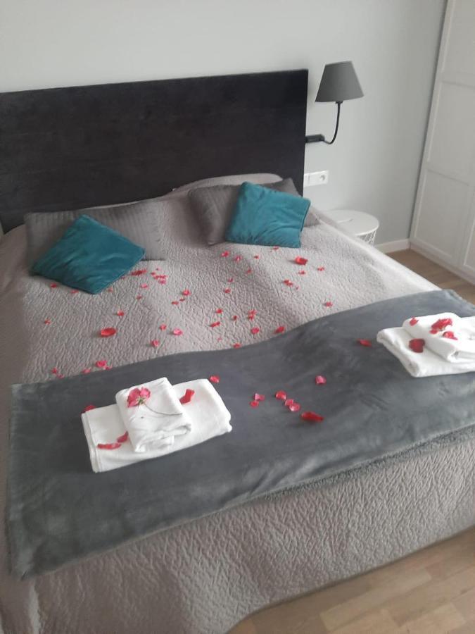 Apartamenty Koci Ogon Torun Luaran gambar