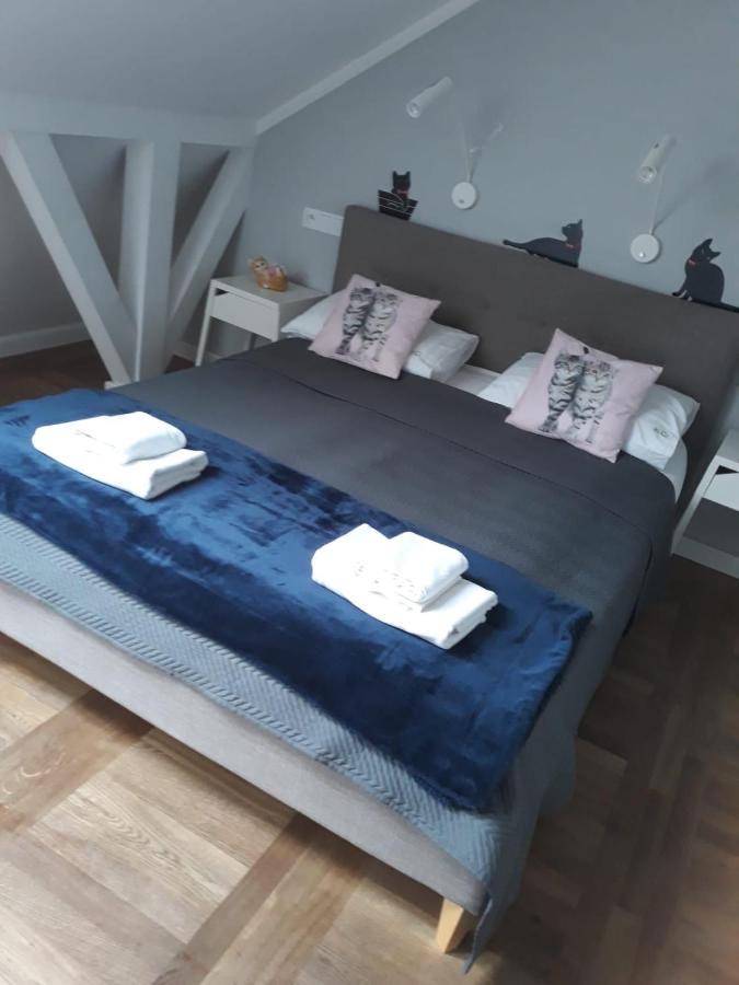 Apartamenty Koci Ogon Torun Luaran gambar