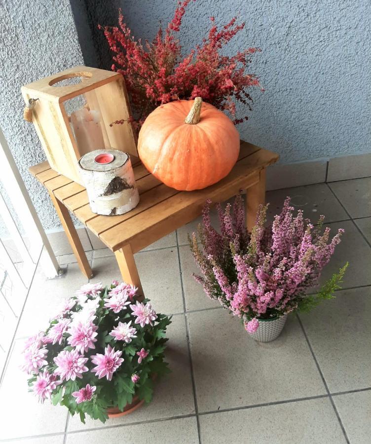 Apartamenty Koci Ogon Torun Luaran gambar