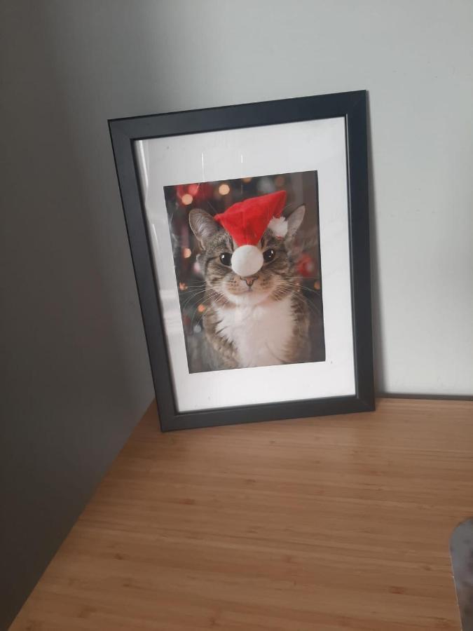 Apartamenty Koci Ogon Torun Luaran gambar
