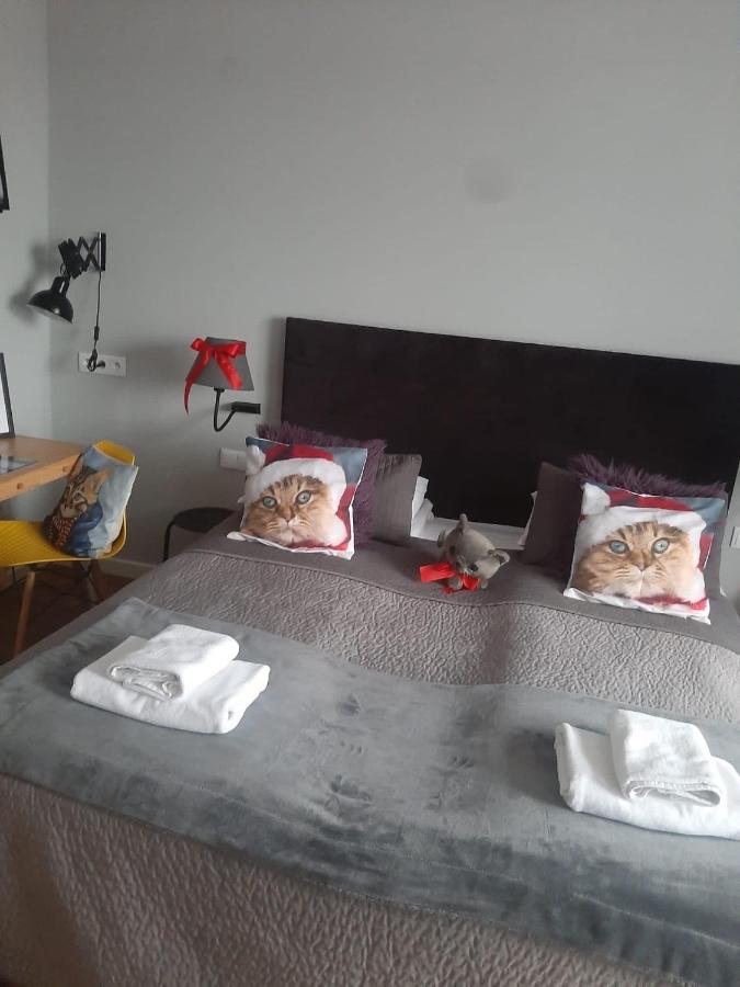 Apartamenty Koci Ogon Torun Luaran gambar